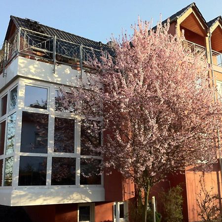 Gaestehaus Kirschgarten Bodenheim Kültér fotó